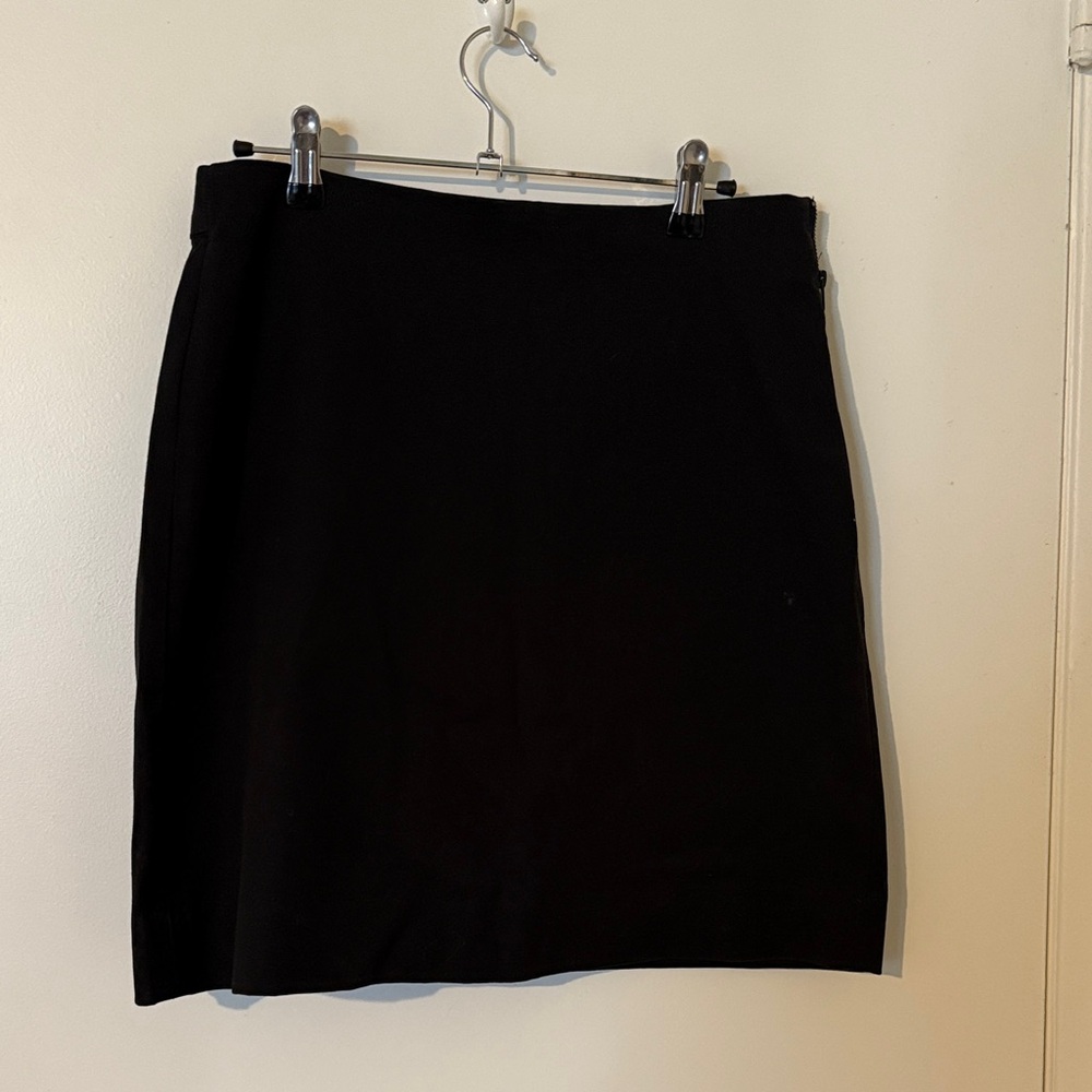 Everlane Women's Black mini Pencil Skirt